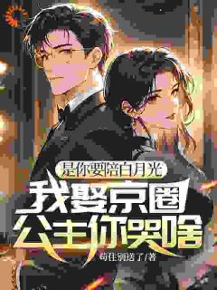 是你要陪白月光，我娶京圈公主你哭啥