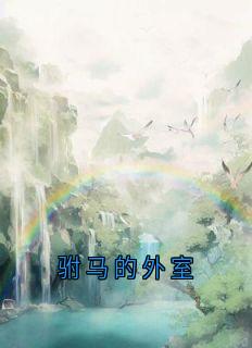 驸马的外室