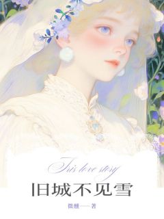 旧城不见雪