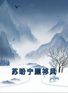 苏盼宁顾祁风
