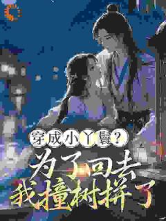 我意外穿到了古代，还成了个小丫鬟