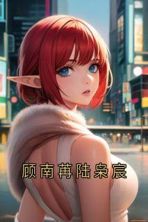 顾南苒陆枭宸