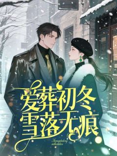 爱葬初冬，雪落无痕