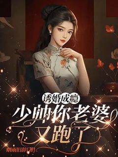 诱婚成瘾：少帅你老婆又跑了