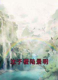 沈子稷陆景明
