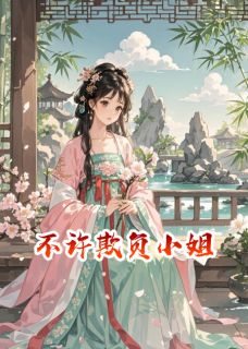 不许欺负小姐