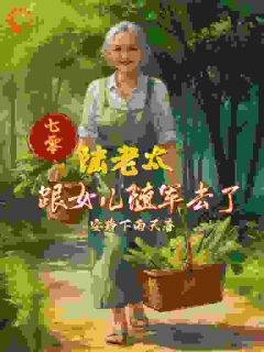 七零，陆老太跟女儿随军去了