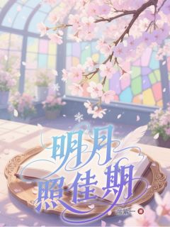 明月照佳期