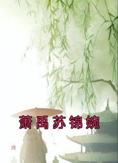 萧禹苏锦婉