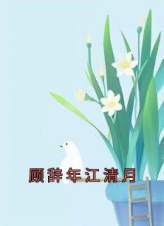 顾辞年江清月