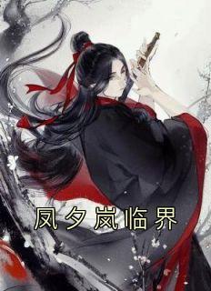 凤夕岚临界